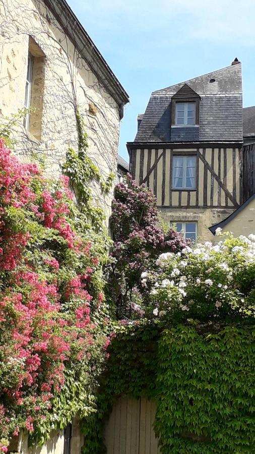 Petite Maison Romantique Au Calme, Coeur Historique Plantagenet, Vue Ville Le Mans Exterior photo