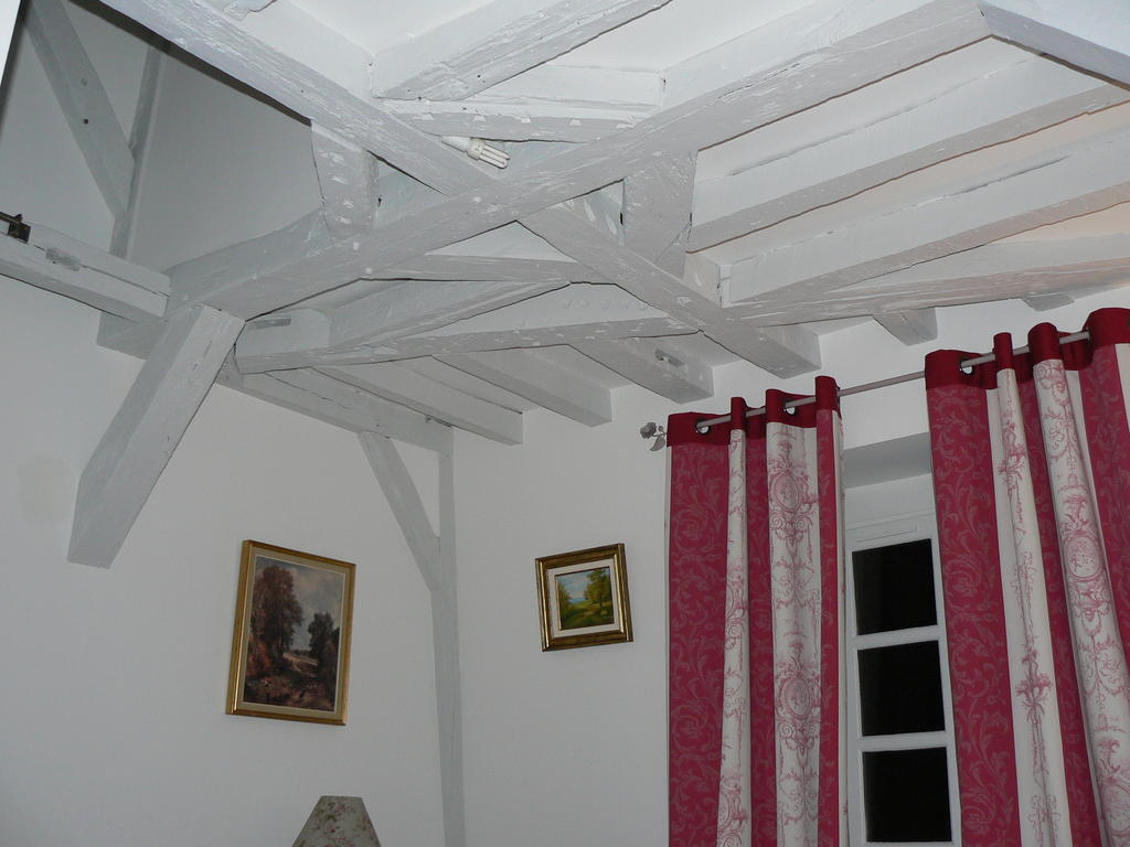Petite Maison Romantique Au Calme, Coeur Historique Plantagenet, Vue Ville Le Mans Room photo